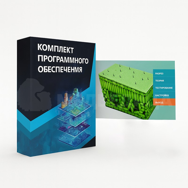 Виртуальный учебный комплекс «Наглядная биология PL-BiologyVR» Базовая, К1